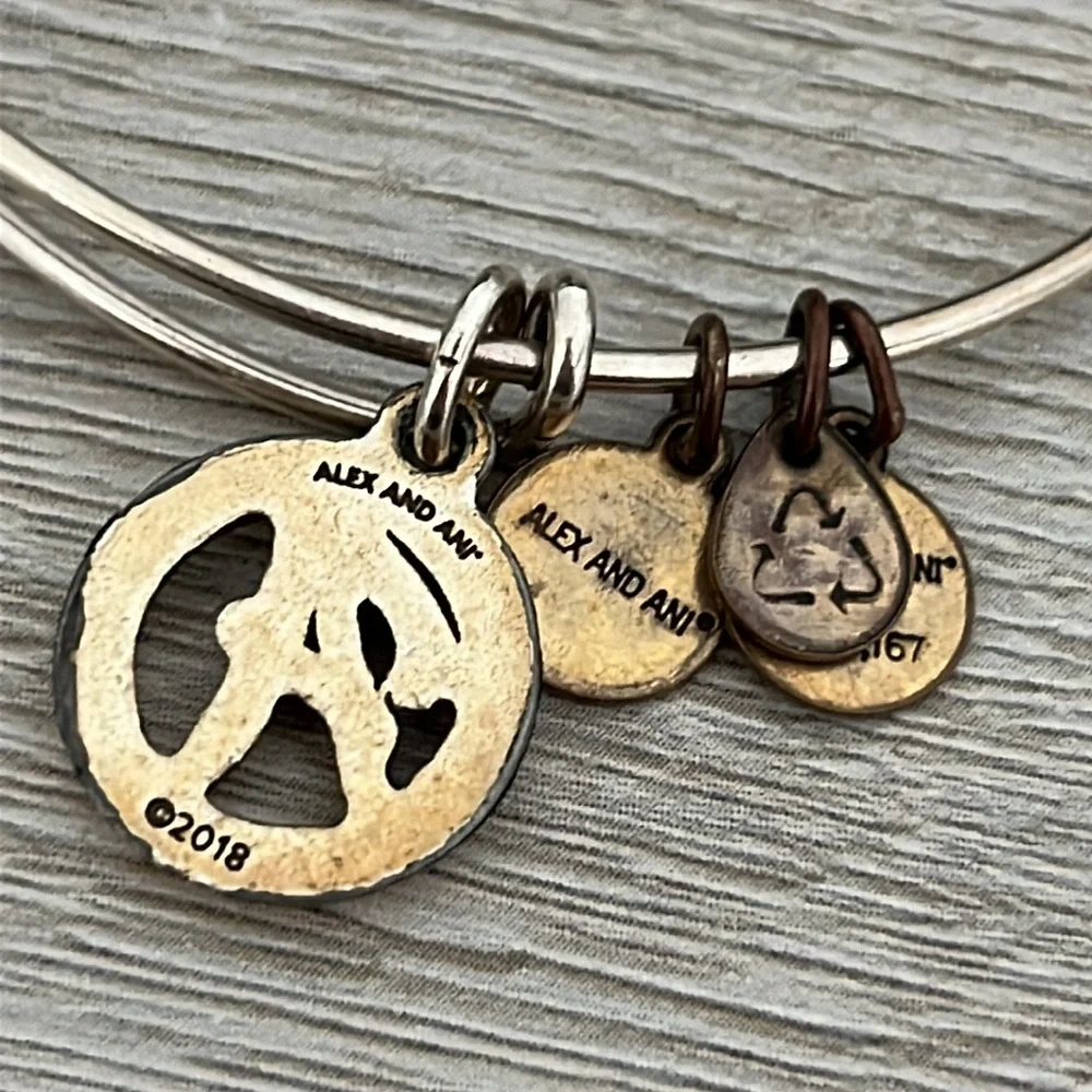 Alex and Ani Womens Initial A Charm Bangle - Picture 3 of 3